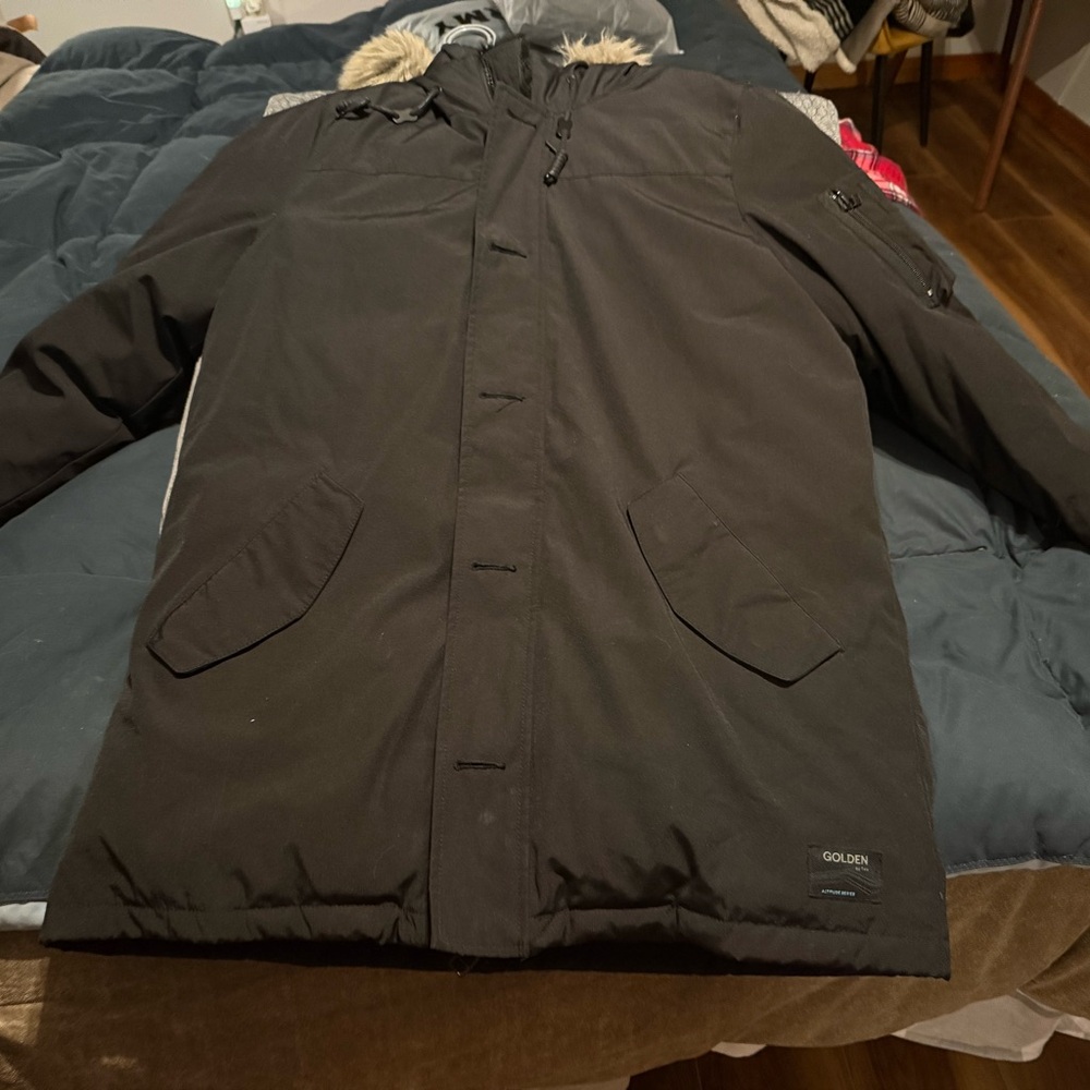 Aritzia ladies Oslo Parka